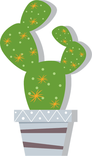 cactusicons-collection-various-green-types-isolation-582720