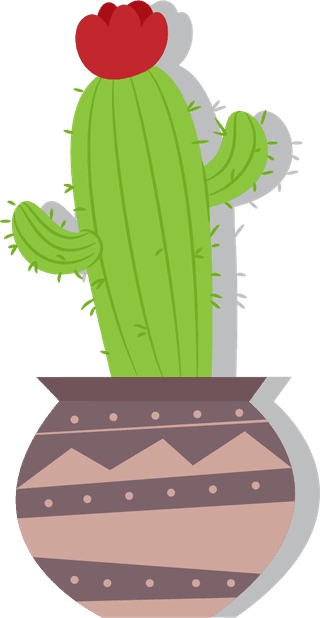 cactusicons-collection-various-green-types-isolation-981619
