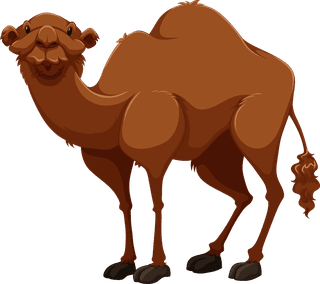 camelcamel-in-different-poses-illustration-99478