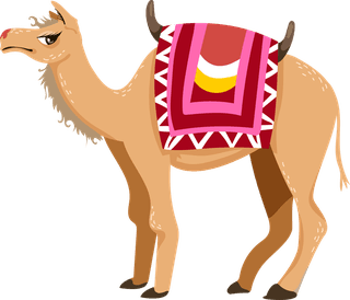 camelcamel-set-desert-caravan-cartoon-illustrations-268903