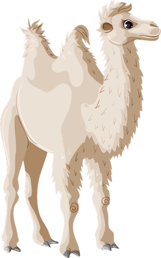 camelcartoon-asian-animals-template-788058