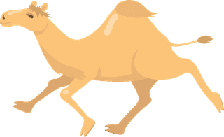camelvarious-camels-with-one-hump-flat-icon-set-752601