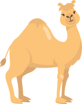 camelvarious-camels-with-one-hump-flat-icon-set-88085