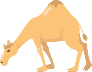 camelvarious-camels-with-one-hump-flat-icon-set-958006