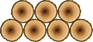 carpentrywork-design-elements-tree-log-tools-sketch-490551