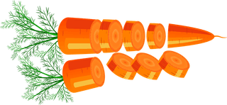 carrotdecorative-icons-d-orange-design-617121