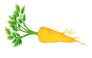 carrotpile-fresh-vegetables-fruits-197346