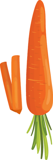 carrotvegetables-herbs-collection-747268