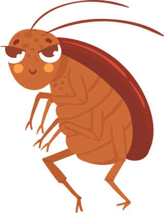 cartooncockroach-insect-mascot-942001