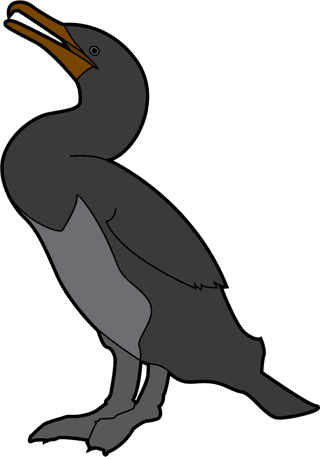 cartoonflightless-birds-collection-different-species-of-flightless-birds-992345