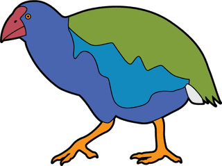 cartoonflightless-birds-collection-different-species-of-flightless-birds-93040
