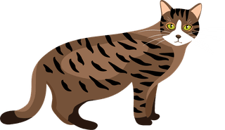 catcartoon-kitties-cats-with-different-colored-fur-markings-standing-sitting-walking-237673