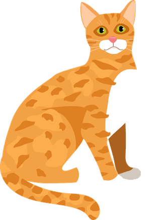 catcartoon-kitties-cats-with-different-colored-fur-markings-standing-sitting-walking-169669