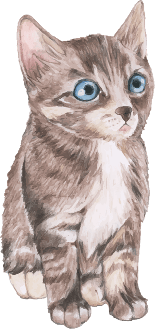 catcollection-hand-drawn-animals-783060