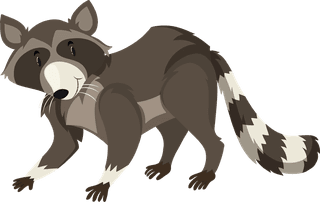 catfox-raccoon-character-dance-position-illustration-785691