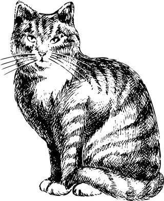 cathandpainted-animals-vector-132162