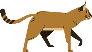 catwild-feline-animals-icons-classical-flat-sketch-984562