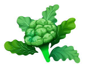 cauliflowerpile-fresh-vegetables-fruits-188135