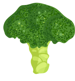 cauliflowervegetables-herbs-collection-978212