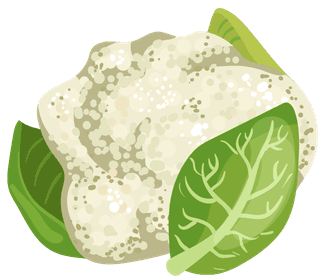 cauliflowervegetables-herbs-collection-135982