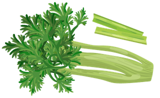 celeryvegetables-herbs-collection-779245