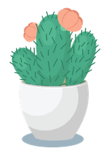 charmingcactus-plants-in-white-pots-illustration-419557