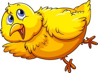 chickchicken-fresh-eggs-illustration-292780