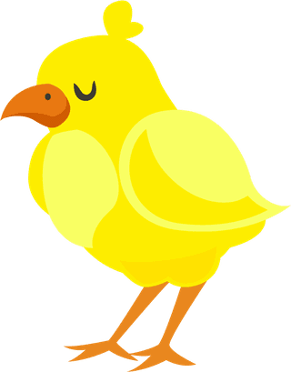 chickpoultry-farm-elements-set-993061