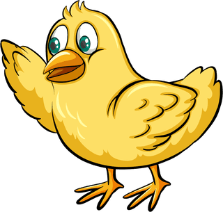 chickset-many-chickens-farmer-409543