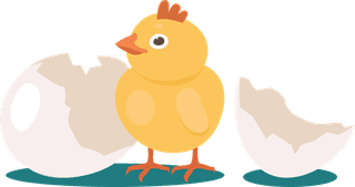 chickeneggs-hatch-hatching-bird-process-set-690957