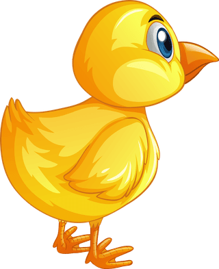 chickshen-chicks-nest-402381