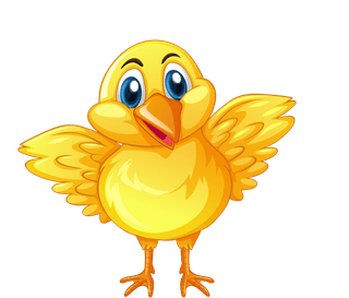 chickshen-chicks-nest-896312