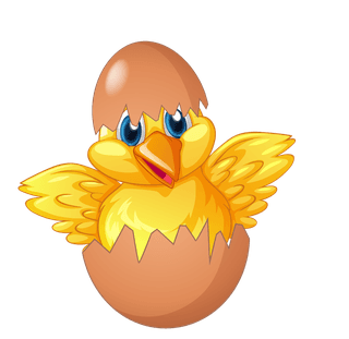chickshen-chicks-nest-227047