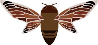 cicadasset-of-free-insect-icons-vector-fly-cicada-bug-flat-insect-collection-768788
