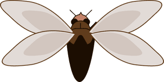 cicadasset-of-free-insect-icons-vector-fly-cicada-bug-flat-insect-collection-743101