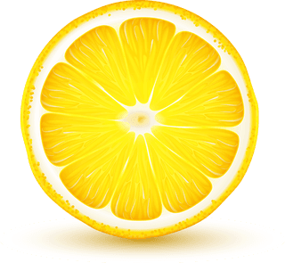 citrusfruits-slices-realistic-closeup-set-with-lemon-lime-grapefruit-orange-shadow-reflection-white-979266