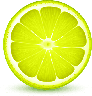 citrusfruits-slices-realistic-closeup-set-with-lemon-lime-grapefruit-orange-shadow-reflection-white-874212