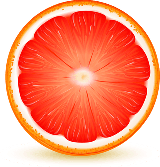 citrusfruits-slices-realistic-closeup-set-with-lemon-lime-grapefruit-orange-shadow-reflection-white-740335
