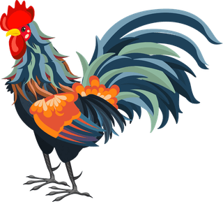 cockchicken-icon-classical-design-colorful-cute-cartoon-sketch-718563