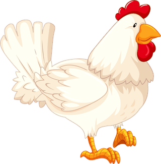 cockset-different-birds-cartoon-style-isolated-white-background-292619