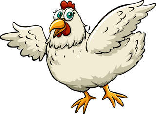 cockset-of-different-birds-cartoon-style-isolated-on-white-background-illustration-825545
