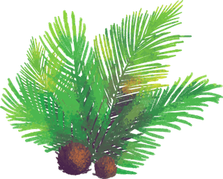 coconutand-coconut-leaves-palm-leaves-watercolor-coconuts-693107