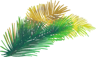 coconutand-coconut-leaves-palm-leaves-watercolor-coconuts-664398