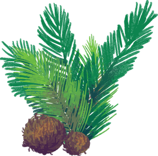 coconutand-coconut-leaves-palm-leaves-watercolor-coconuts-563876
