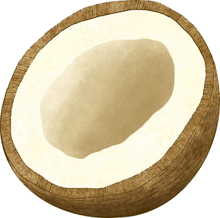 coconutdifferent-angles-coconut-fruit-941738