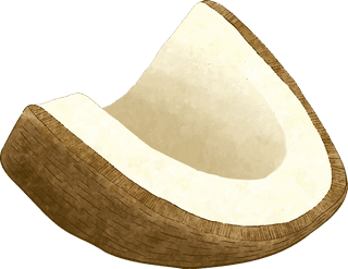 coconutdifferent-angles-coconut-fruit-983574