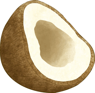 coconutdifferent-angles-coconut-fruit-717793