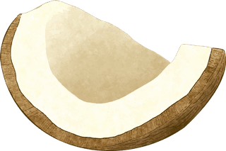 coconutdifferent-angles-coconut-fruit-613496