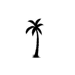 coconutpalm-tree-silhouettes-in-a-minimalist-style-786712