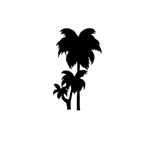 coconutpalm-tree-silhouettes-in-a-minimalist-style-797115